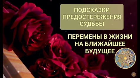 Будущее и предостережения: какие сюжеты скрываются за снами с участием погибших родственников