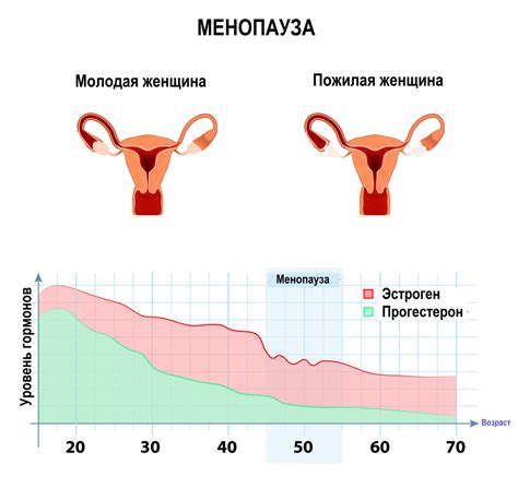 Будущие месячные у женщин: что это значит?