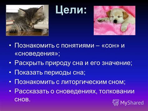 Важность анализа контекста и деталей при толковании снов о грызунах