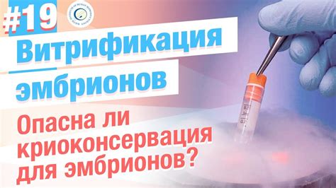 Важность витрификации ооцитов