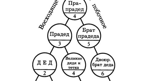 Важность восходящей линии родства