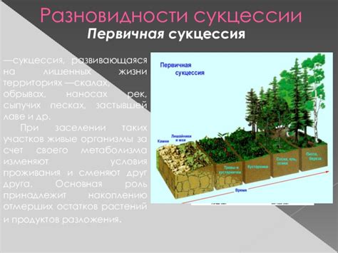 Важность изучения ЯХА и биоценозов рек