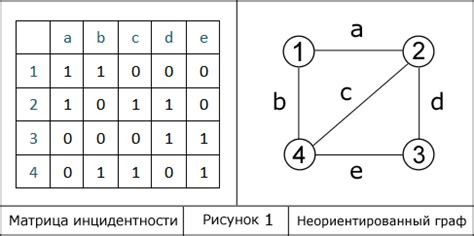 Важность изучения инцидентности графов в разных областях