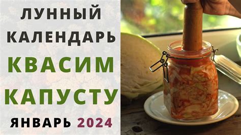 Важность контекста: когда квашеная капуста предвещает трудности