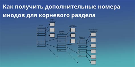 Важность корневого раздела