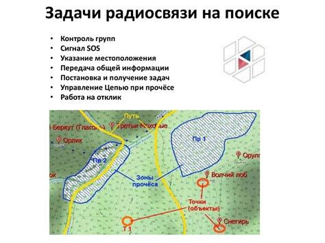 Важность меток при поиске пропавших животных