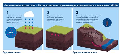 Важность микроклимата и почвы