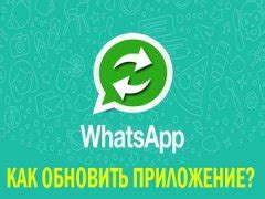 Важность обновления WhatsApp: основные действия и преимущества