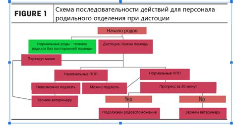 Важность обслуживания фермы