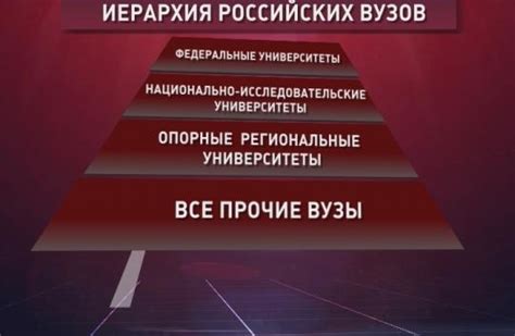 Важность опорных вузов в образовательной политике России