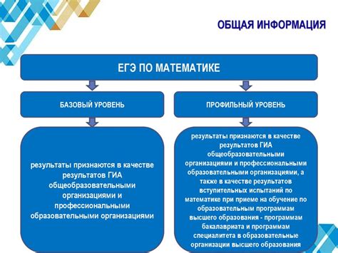 Важность основного и среднего общего образования: что дает образование детям