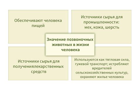 Важность планирования в хозяйственной жизни