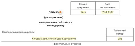 Важность подачи жалобы на неполучение суточных за командировку