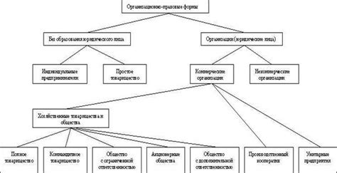 Важность политической компании: цели и направления деятельности