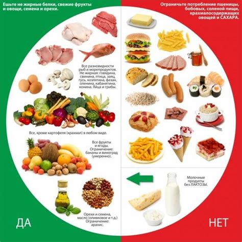 Важность правильного питания рыб