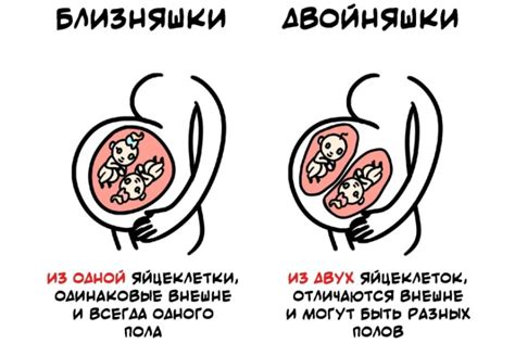 Важность различения однояйцевых близнецов от двояйцевых в медицинской практике