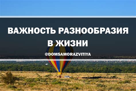 Важность разнообразия в мышлении