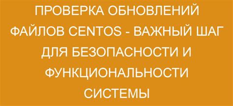 Важность регулярных проверок и обновлений