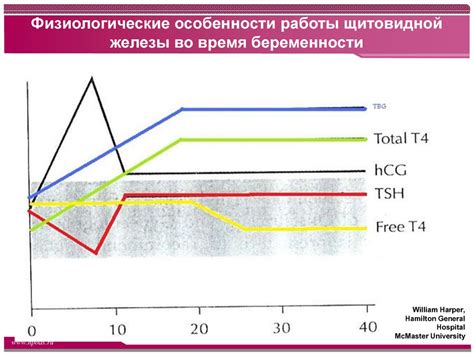 Важность референтных значений ХГЧ в диагностике