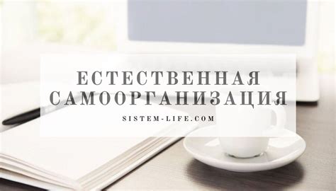 Важность собственных принципов