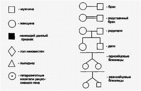 Важность составления регистровой родословной