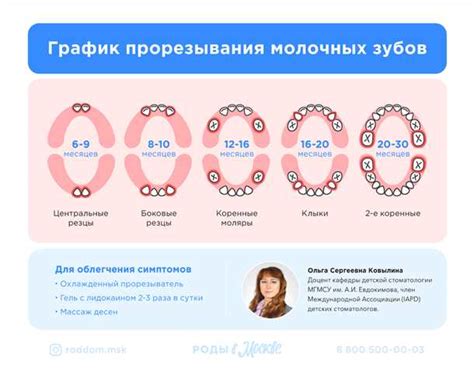 Важность состояния молочных зубов при анализе символического значения сновидений