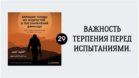 Важность терпения: педагоги, показывающие, что всякий успех требует времени