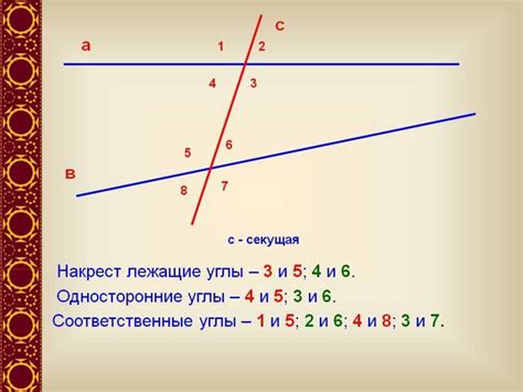 Важность углов соответственных в математике