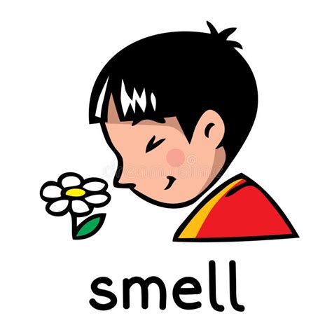 Важность чувства запаха для организма