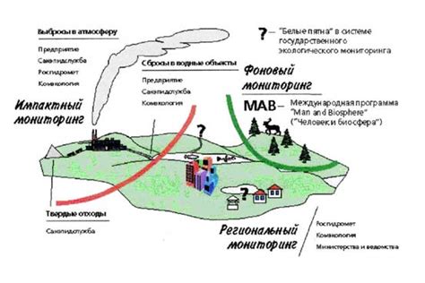 Важность экологического мониторинга