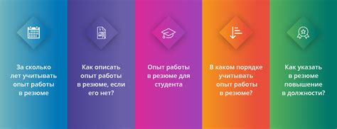 Важные навыки трейни: образование, опыт работы и навыки