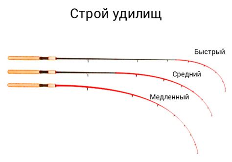 Важные понятия теста фидера