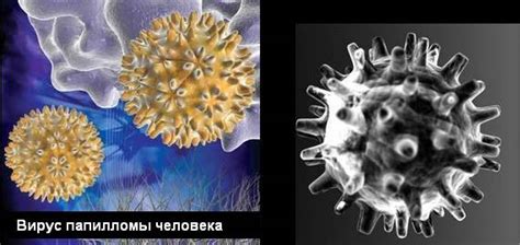 Важные факты о относительном результате ВПЧ