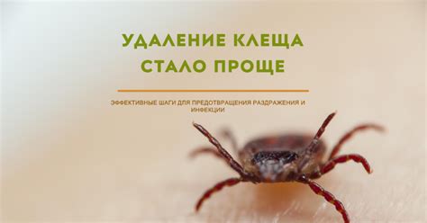 Важные шаги для предотвращения сорванного куша