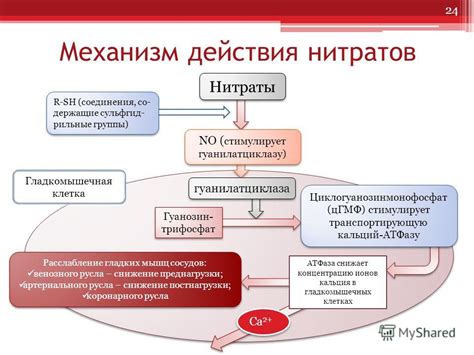 Вазоактивные препараты: механизм действия и влияние на организм