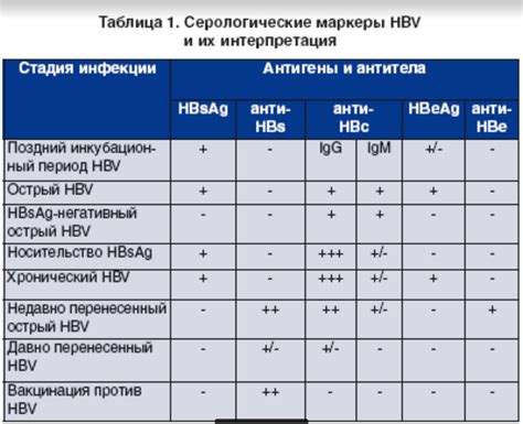 Варианты положительного результата анти HCV