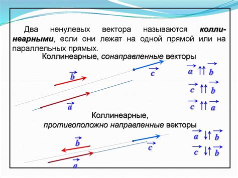 Векторы и их разложение