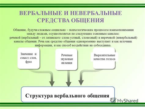 Вербальные тесты: их значение и применение