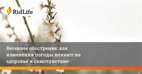 Весеннее потепление: факторы, которые влияют на изменение погоды