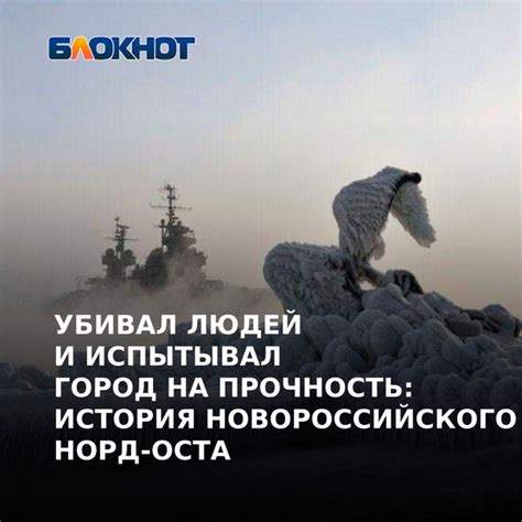 Ветер норд-ост: что это значит?