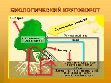 Взаимодействие веществ в природе