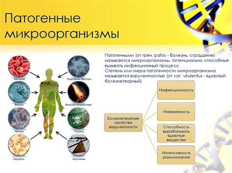 Взаимодействие микроорганизмов с органами и системами