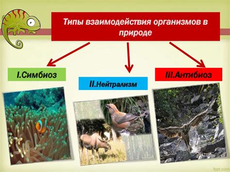 Взаимосвязь антропогенной экосистемы с окружающей средой