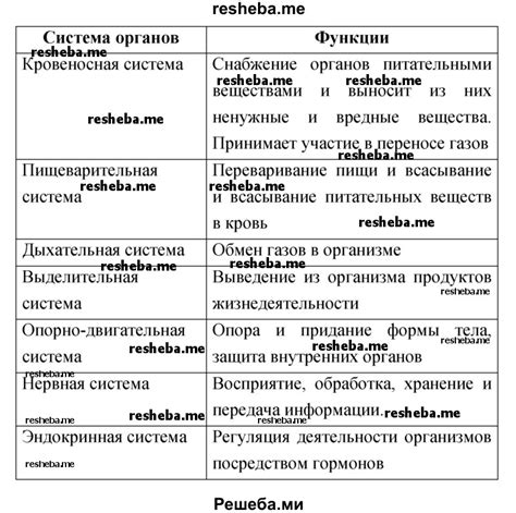 Взаимосвязь веков и органов