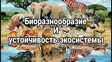 Взаимосвязь между животным и растительным миром: важность биоразнообразия