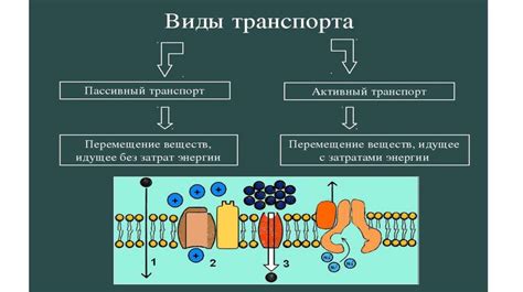 Взаимосвязь между мелкозернистой структурой и инсулином