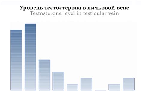 Взаимосвязь между размером яичек и уровнем тестостерона