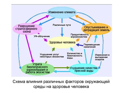 Взаимосвязь рабочей среды и здоровья