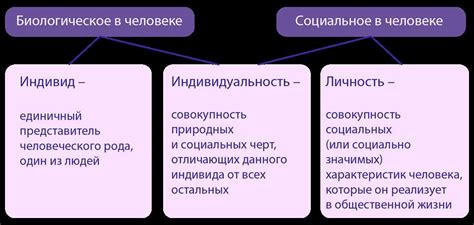 Взаимосвязь смыслов сновидения и индивидуальности сновидца