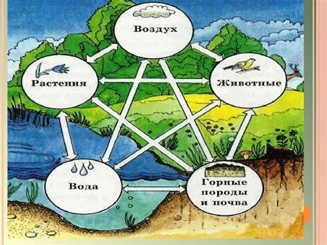 Взаимосвязь с природой